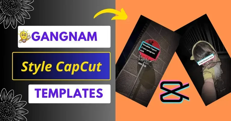 Free Download Gangnam Style CapCut Template Links 2024